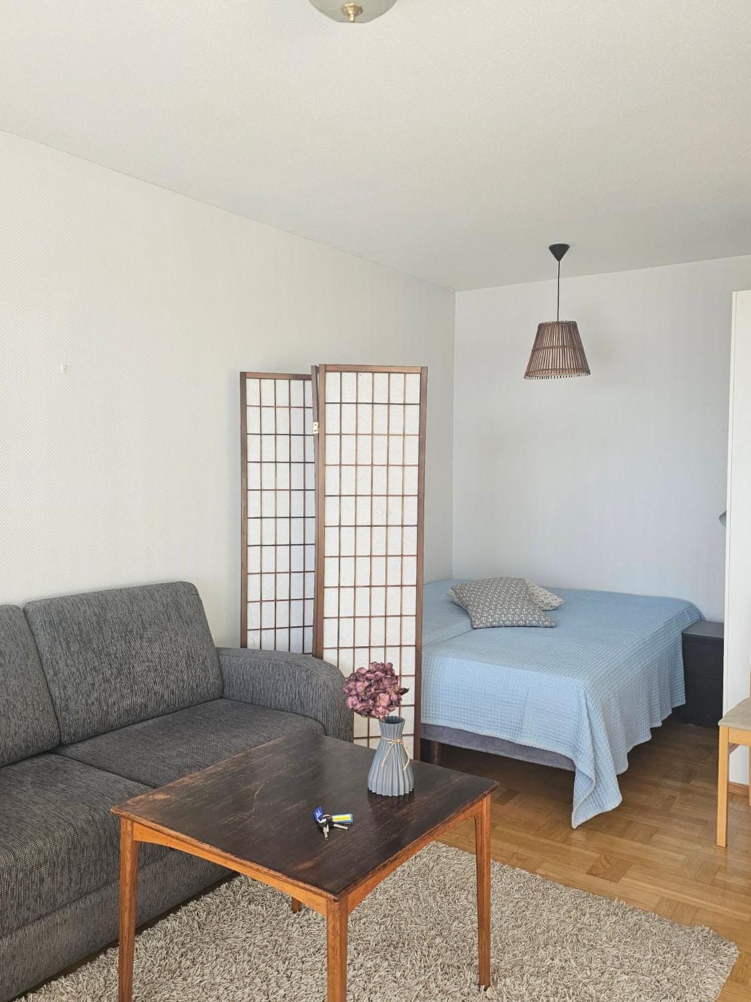 Krepelin Apartments クリスティーナンカウプンキ エクステリア 写真